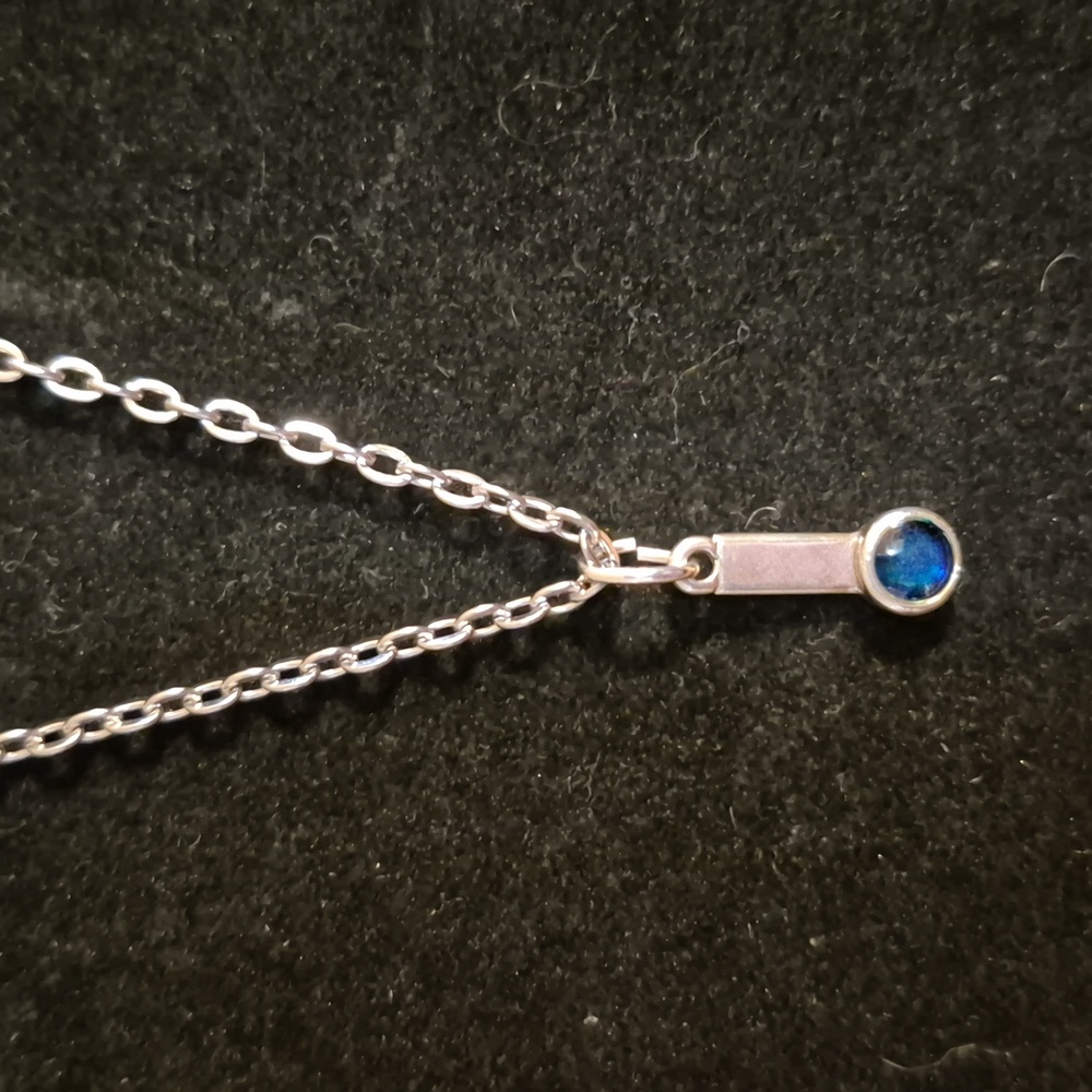Sapphireskies Designs Sterling & Resin Charm Necklace